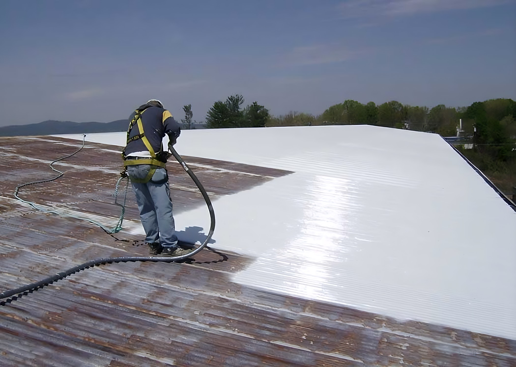 Commercial Roof Coatings